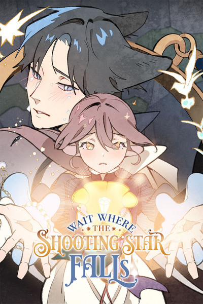 Wait Where the Shooting Star Falls [Official]